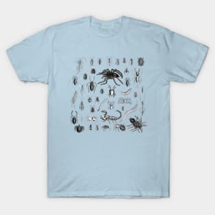 Goblincore Aesthetic Creepy Insects Entomology Entomophobia T-Shirt